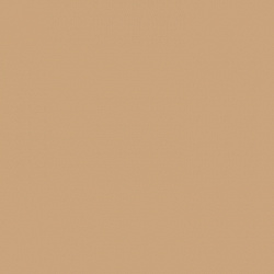 1118 Имбирный