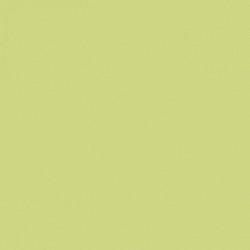 1016 6 Фисташковый